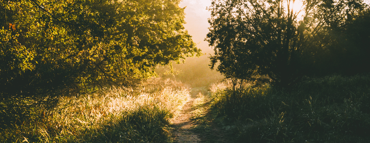 Trailblazers Spring 2026